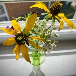 Meet your Posher, Ana